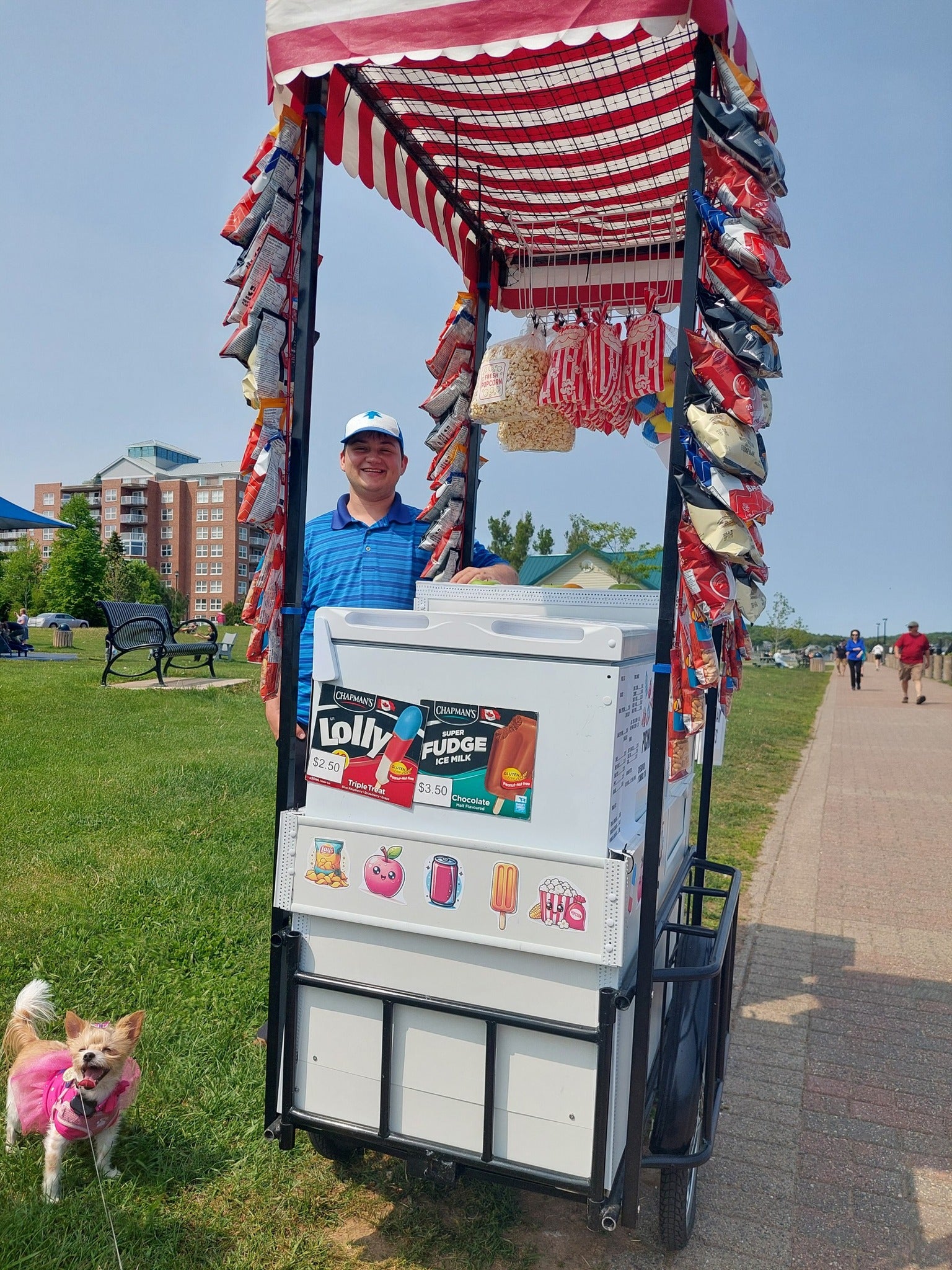 Cotton Candy Cart